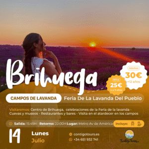 BRIHUEGA - CAMPOS DE LAVANDA LUNES 14-07