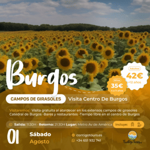 BURGOS Y CAMPOS DE GIRASOLES SÁBADO 01-08