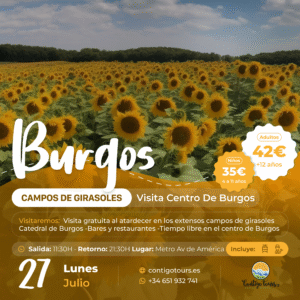 BURGOS Y CAMPOS DE GIRASOLES LUNES 27-07