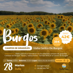 BURGOS Y CAMPOS DE GIRASOLES MARTES 28-07