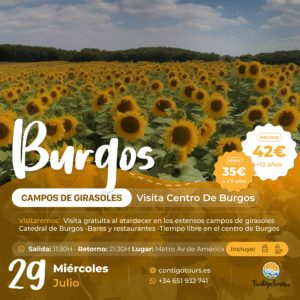BURGOS Y CAMPOS DE GIRASOLES MIÉRCORLES 29-07