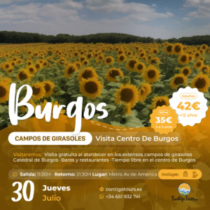 BURGOS Y CAMPOS DE GIRASOLES JUEVES 30-07