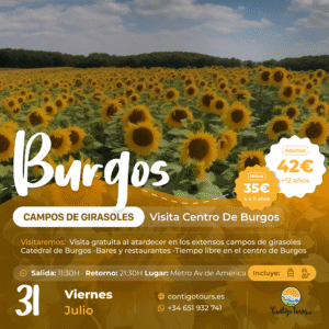 BURGOS Y CAMPOS DE GIRASOLES VIERNES 31-07