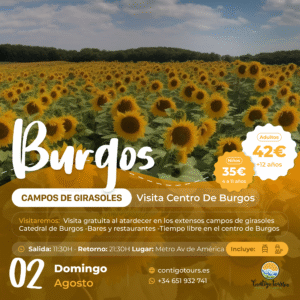 BURGOS Y CAMPOS DE GIRASOLES DOMINGO 02-08